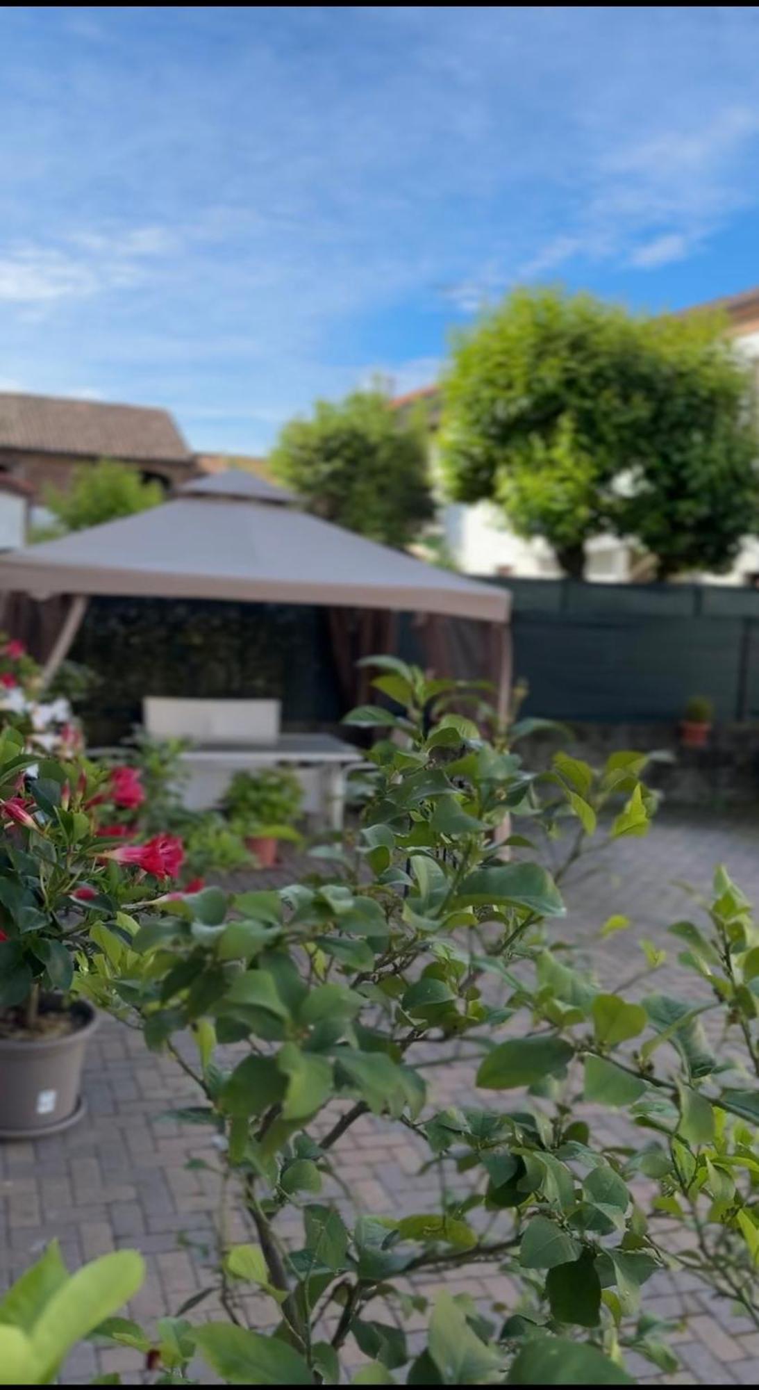 Casa Di Maya Apartment